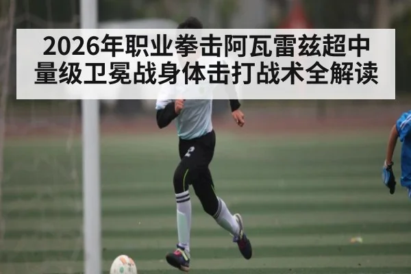2026年职业拳击阿瓦雷兹超中量级卫冕战身体击打战术全解读